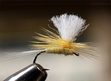 Montaje: Sulphur Parachute