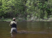 Ttulo: Spey Casting - Guideline