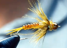Montaje: CPs Soft Hackle "D" Rib Golden